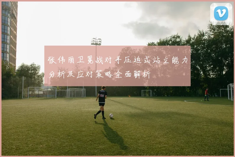 张伟丽卫冕战对手压迫式站立能力分析及应对策略全面解析