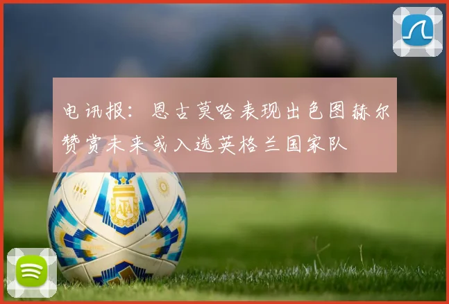 电讯报：恩古莫哈表现出色图赫尔赞赏未来或入选英格兰国家队